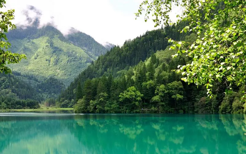 高端高端